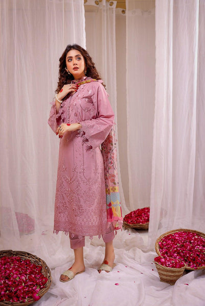 Lime Light Airjet Dhanak 3PC – Heavy Embroidery