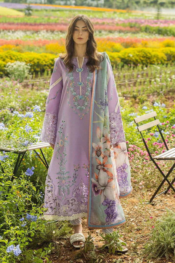 Mushq 786 | Luxury Dhanak with Twill Shawl